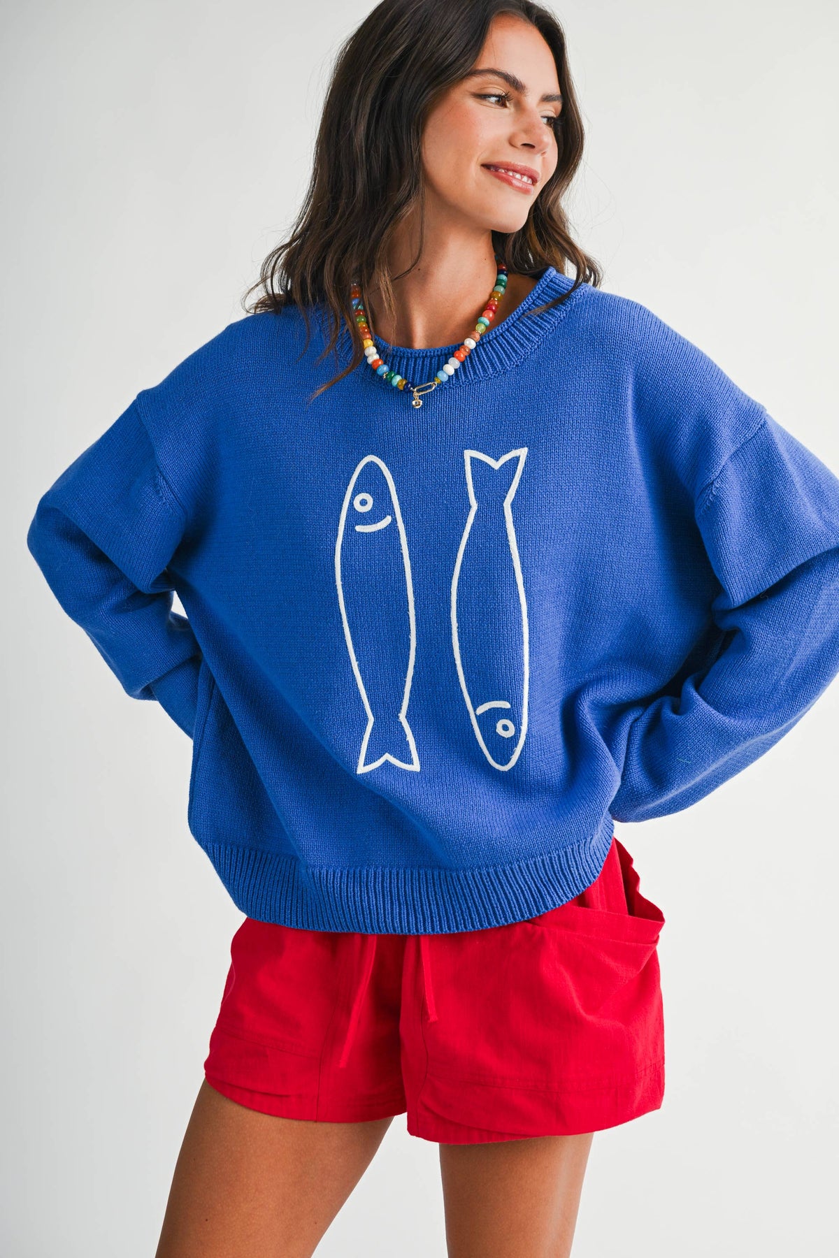 AEMI + Co Sardine Graphic Knit Sweater