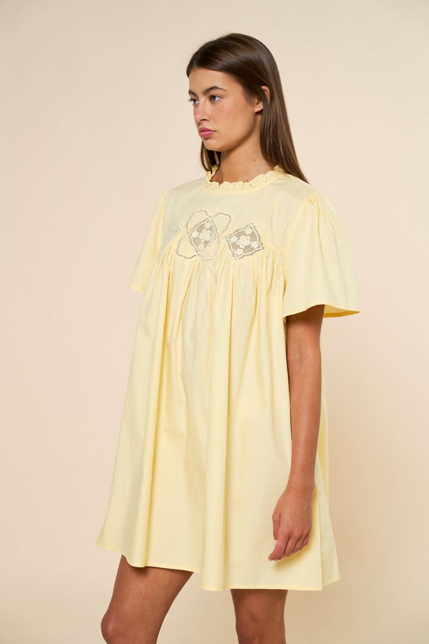 Embroidered Short Sleeve Babydoll Mini Dress