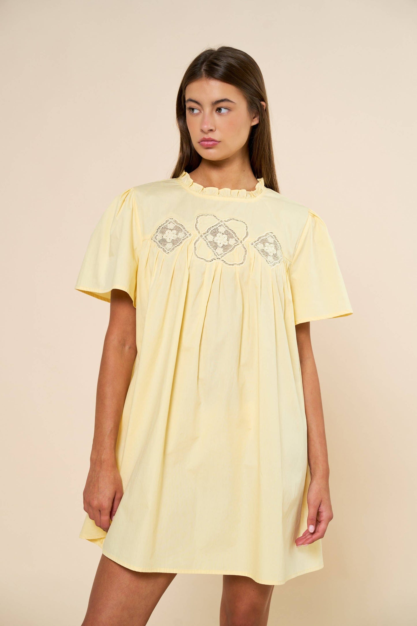 Embroidered Short Sleeve Babydoll Mini Dress
