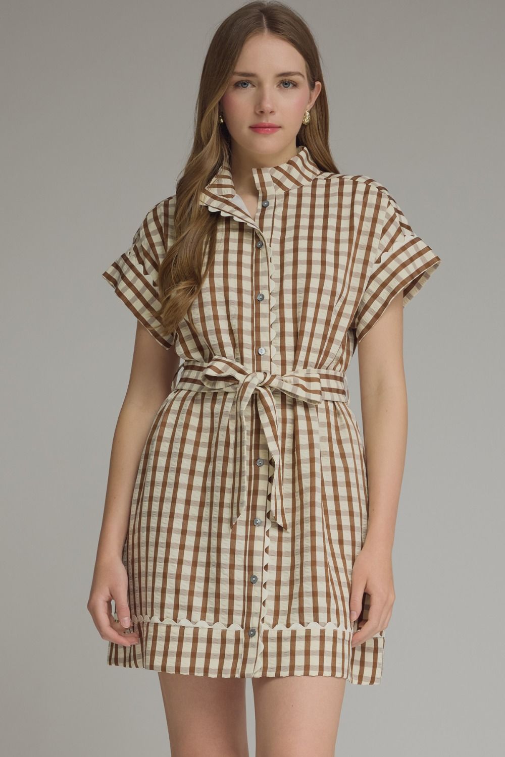 Entro Brown Gingham Mini Dress